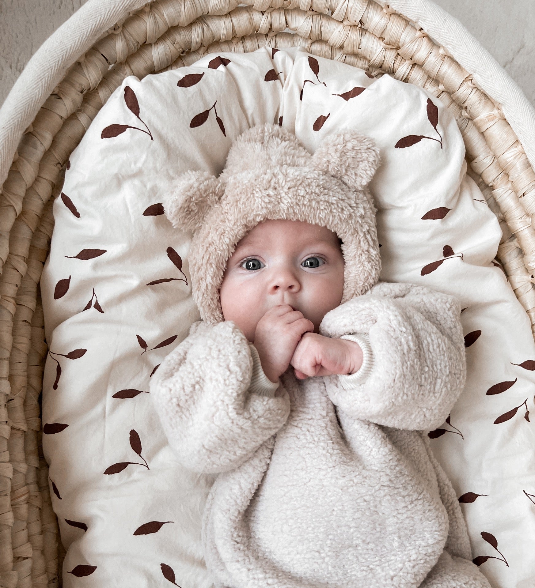 Ada Baby Teddy Ears hat, Beige