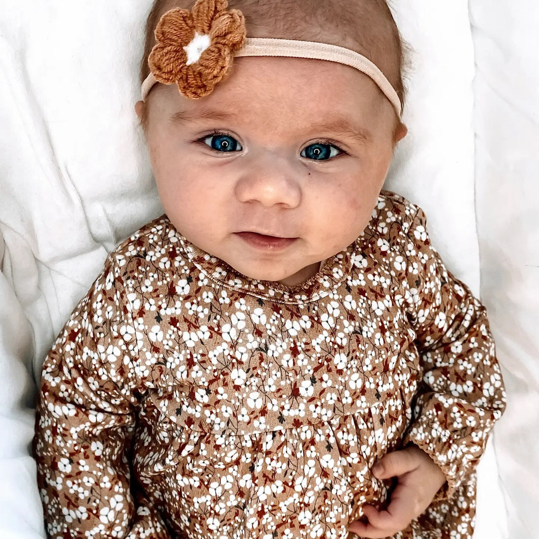 Peek-a-beau Beau Caramel -kukkapanta