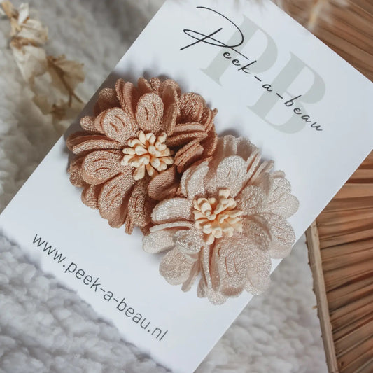 Peek-a-beau Frosty Mocca hair clip